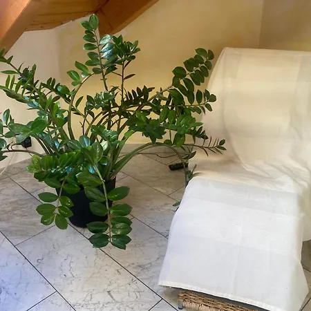 Апартаменты Am Forggensee Nr 2 *